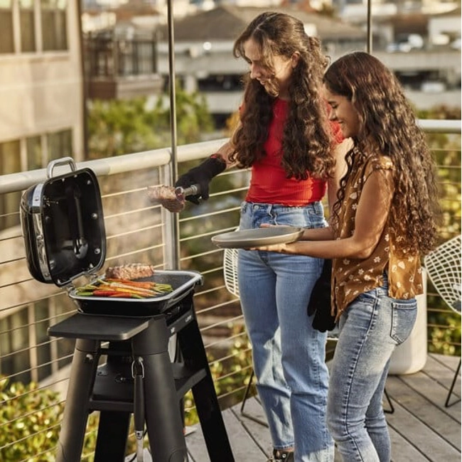 Vendita online Barbecue elettrico Weber Lumin con stand